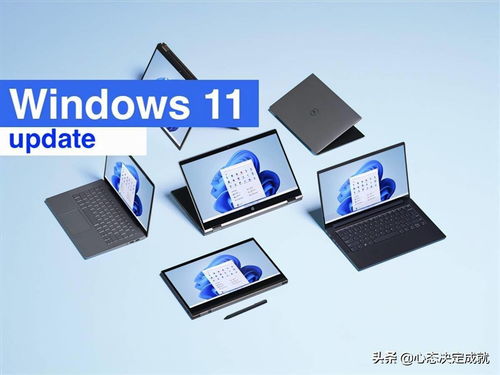 Win11补丁修复Intel Killer网卡兼容问题 技术背后的坚韧与协作
